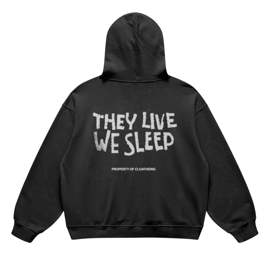 They Live We Sleep Hoodie