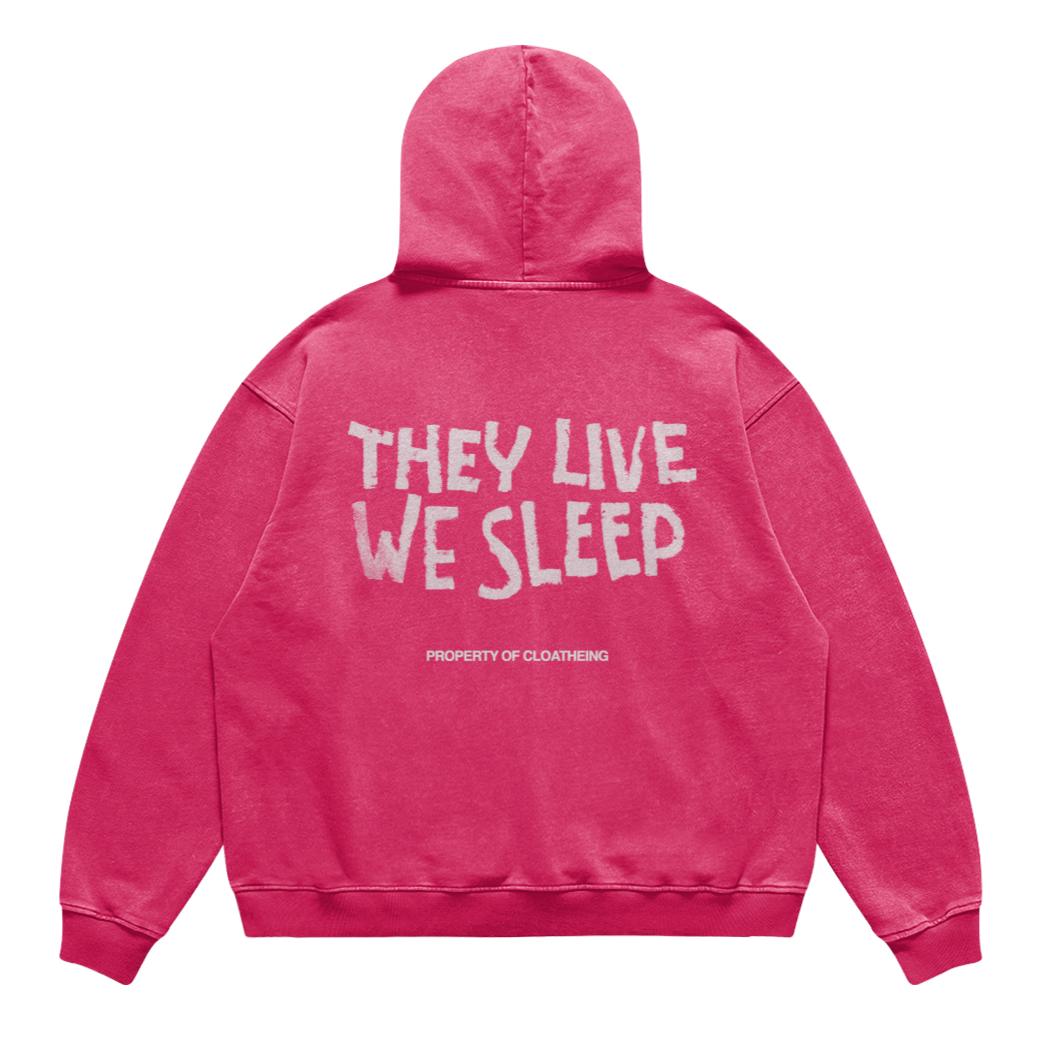 They Live We Sleep Hoodie